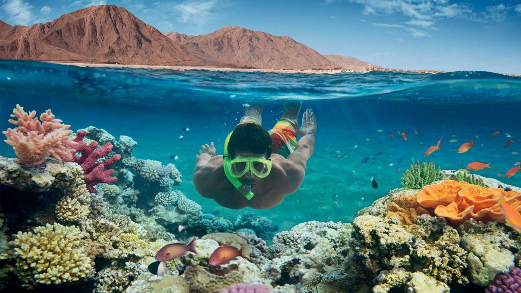 ეგვიპტე ყველაზე დაბალი ფასებით და საუკეთესო მომსახურებით !!!