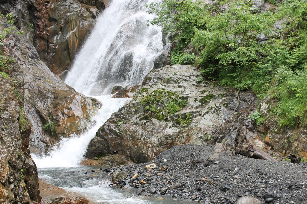 დეკას ყვავილობა თუშეთში. WWW.FACEBOOK.COM/TUSHETII