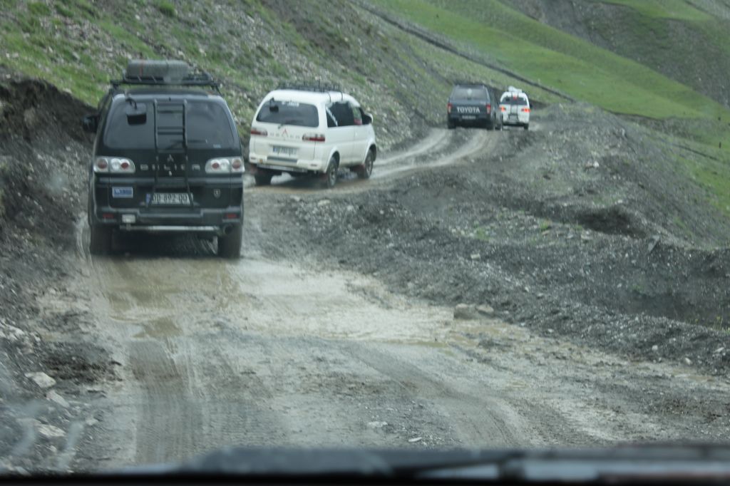 დეკას ყვავილობა თუშეთში. WWW.FACEBOOK.COM/TUSHETII