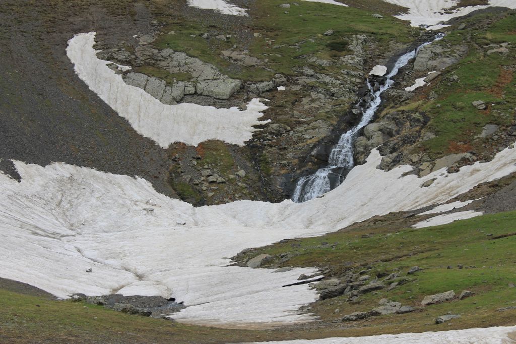 დეკას ყვავილობა თუშეთში. WWW.FACEBOOK.COM/TUSHETII