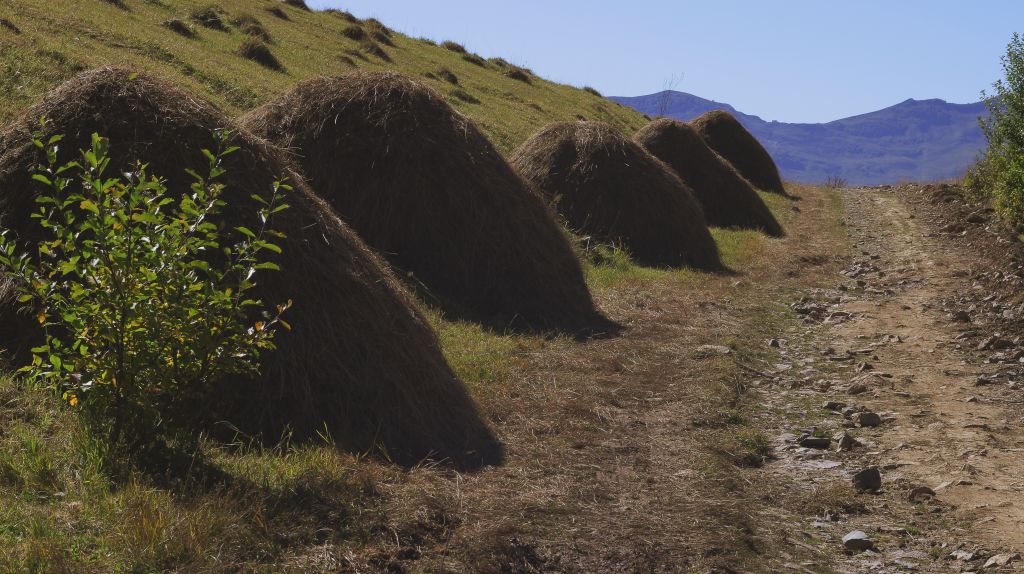 ხადას ხეობა - კოშკების საუფლო #tripop