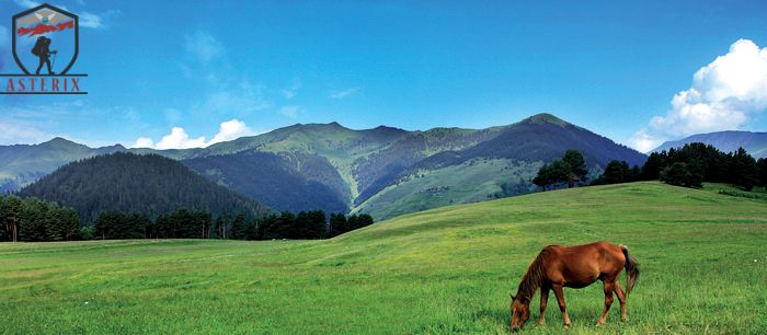 დღიანი ტური თუშეთში