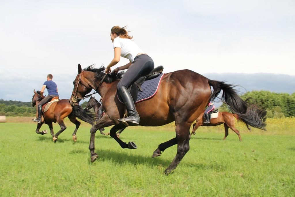 Rafting+Laser Show+Disco+Horse riding