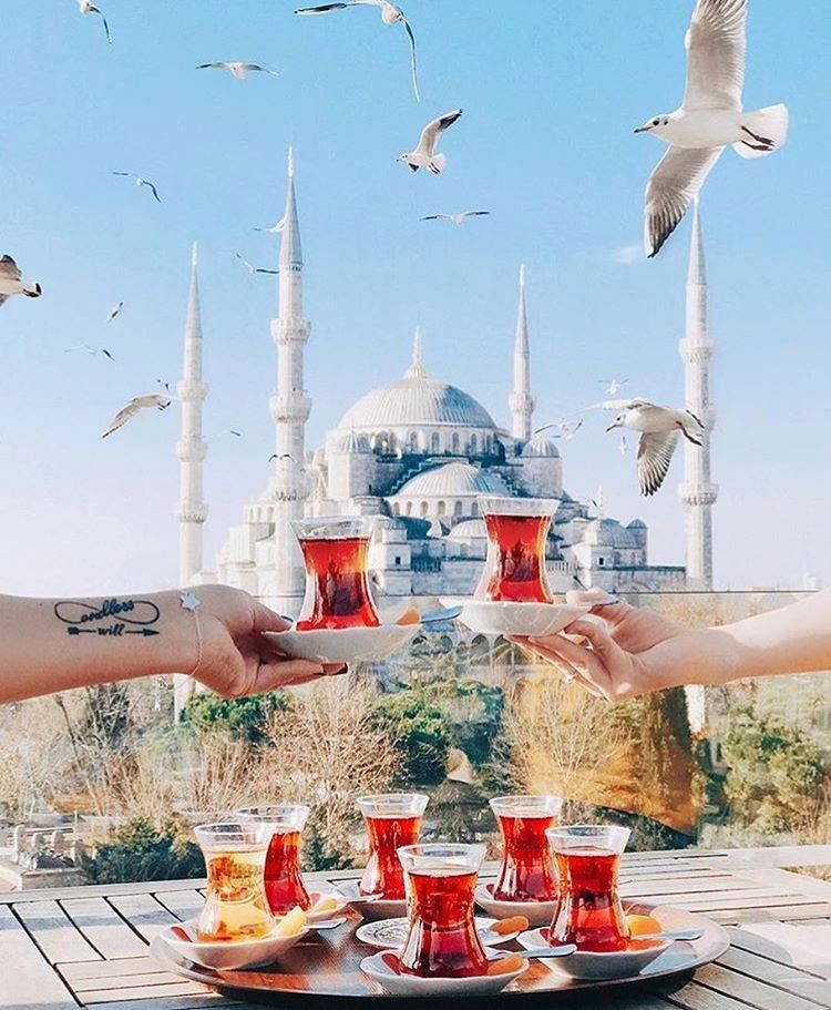 Last Minute!!!!!!!  სტამბულის  დღიანი ტური