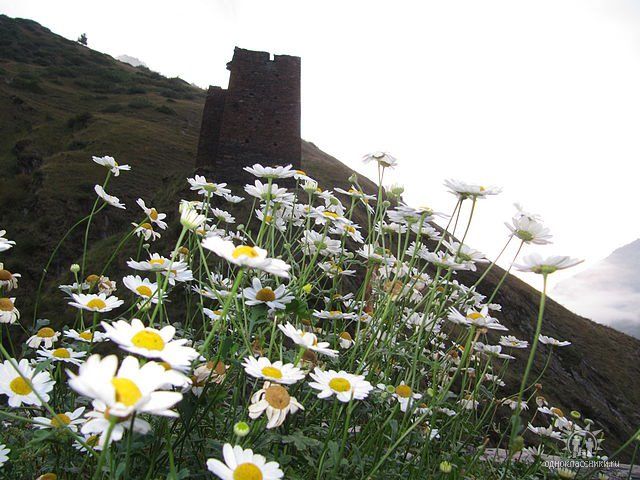 ტური თუშეთში თუშ გიდთან ერთად