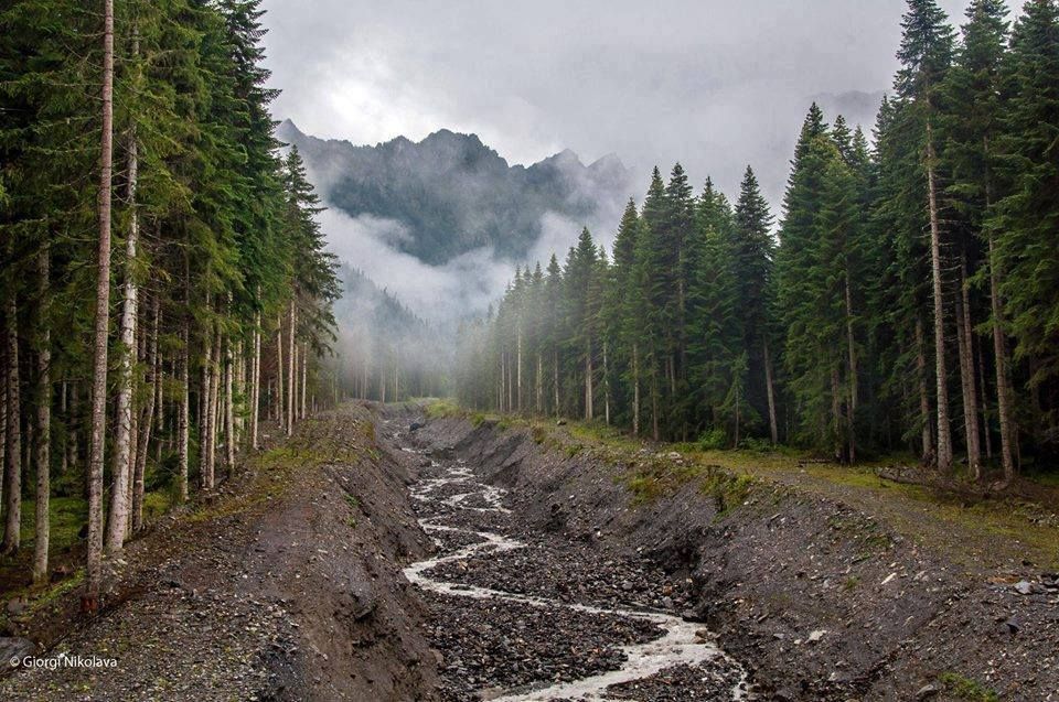 დღიანი დაუვიწყარი ტური რაჭაში ( - ივლისი)