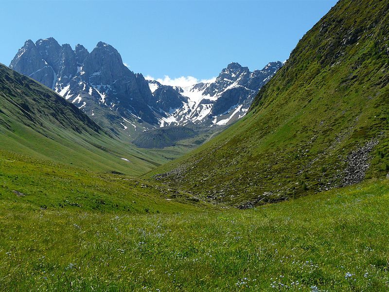 ჯუთა ჭაუხები  <