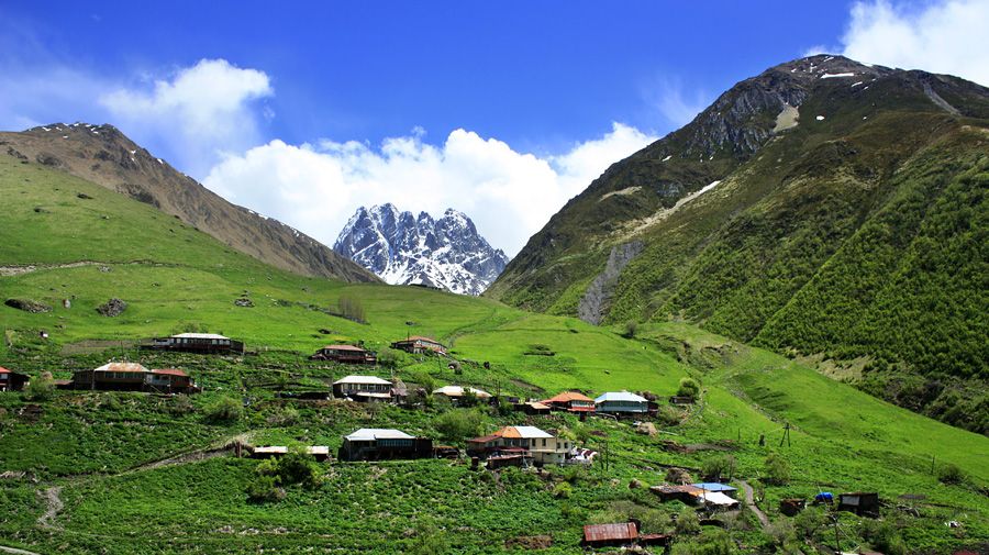 ჯუთა ჭაუხები <