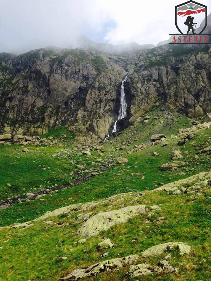 მისტიური ტობავარჩხილი