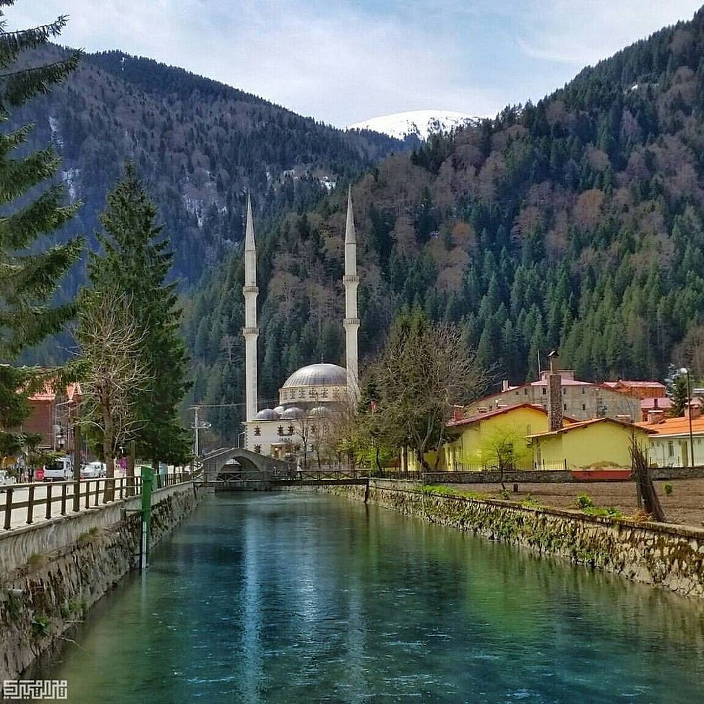 მარიამობა წმინდა მიწაზე Vip tour  .ჯერადი კვებით