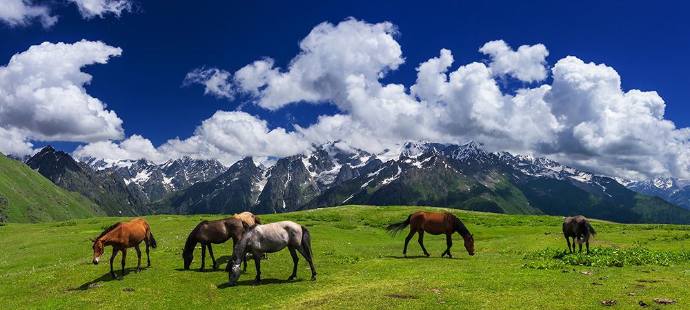 ორდღიანი ტური სვანეთში !