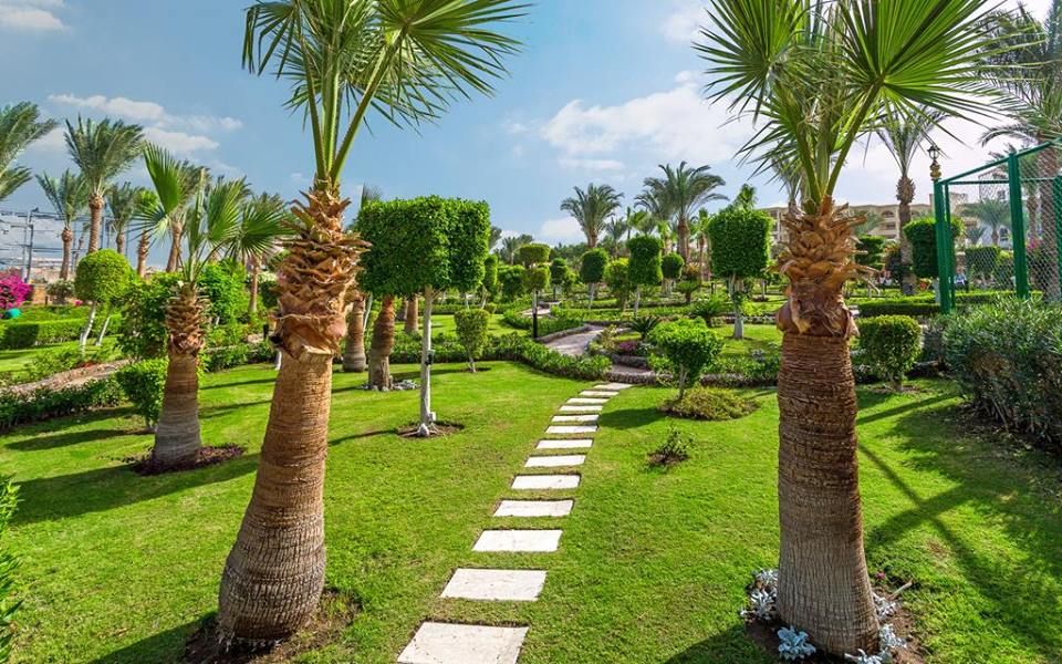 მხოლოდ დღეს ჰურგადა  * იანი სასტუმრო  !!!