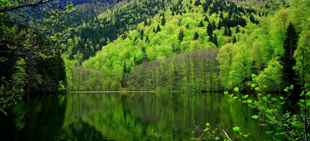 ბატეთის ტბა – სამწევრისი – ყინწვისი ! <