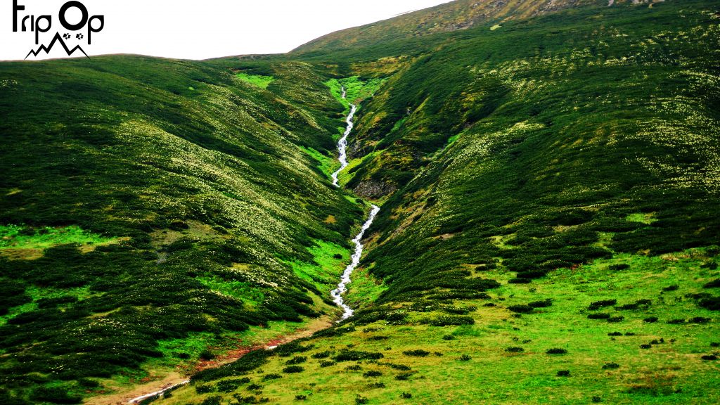 აბუდელაურის ფერადი ტბები #Tripop 