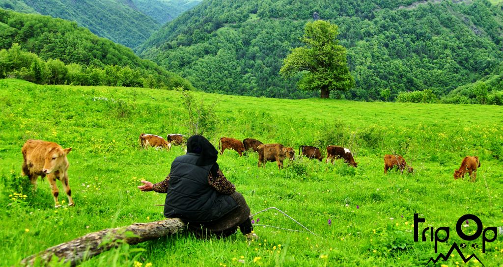 აბუდელაურის ფერადი ტბები #Tripop 