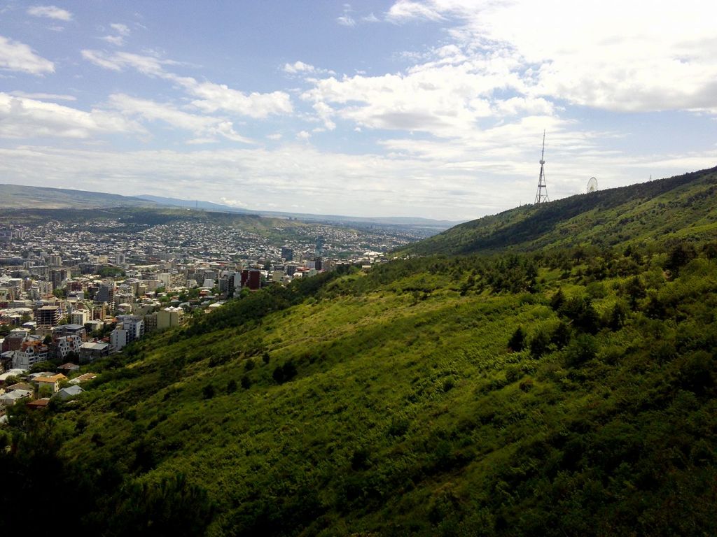 გიდი-მძღოლი თბილისში