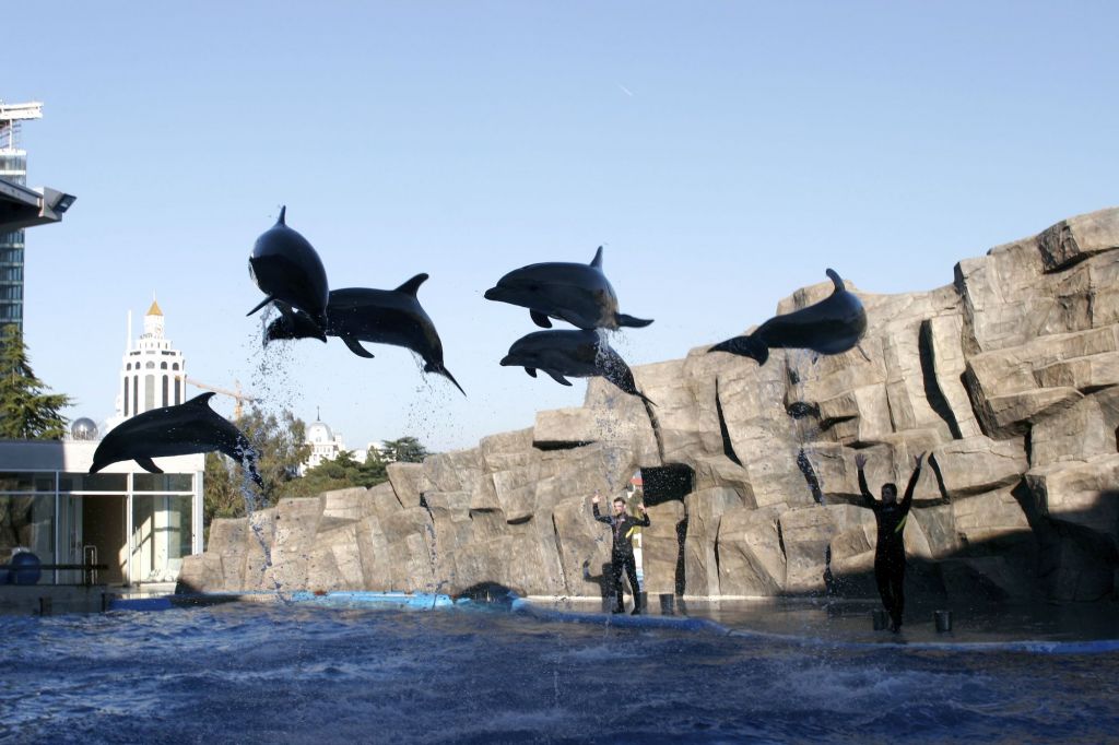 აჭარა (ბათუმი)