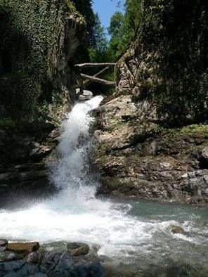 დღიან ტურს ლაგოდეხის ნაკრძალში, მხოლოდ