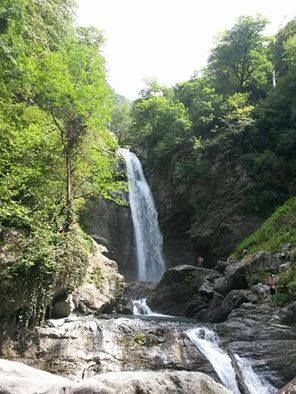 დღიანი ტური ლაგოდეხის ნაკრძალში, მხოლოდ