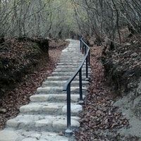 ტური სიღნაღში