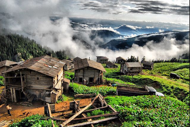 ერთ დღიანი ტურები ნებისმიერი მიმართულებით