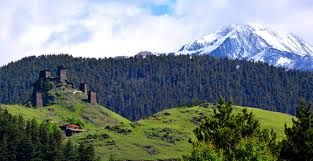 ტურები საქართველოს ნებისმიერ კუთხეში