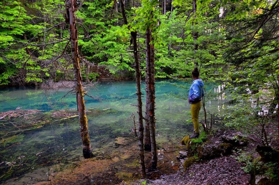 ტური ულამაზეს რაჭაში (გარემოში)