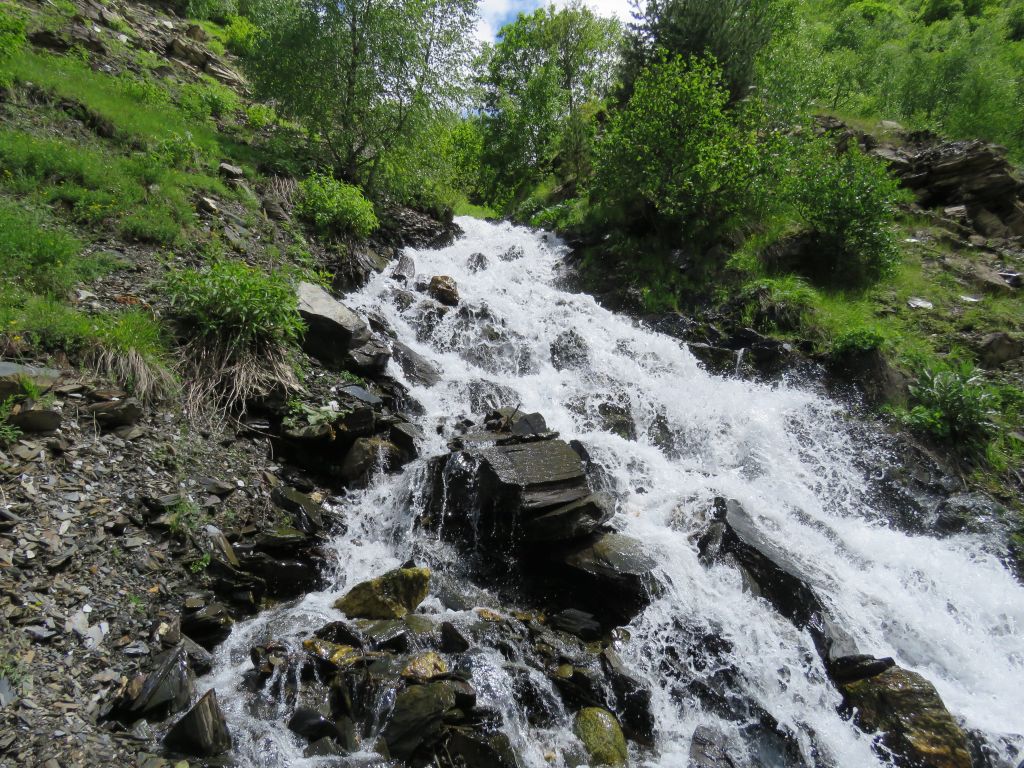 სვანეთი  დღიანი