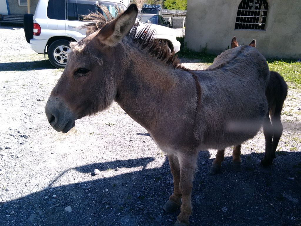 სიყვარულის ქალაქი, ბოდბის მონასტერი, სასწაულმოქმედი წყარო...