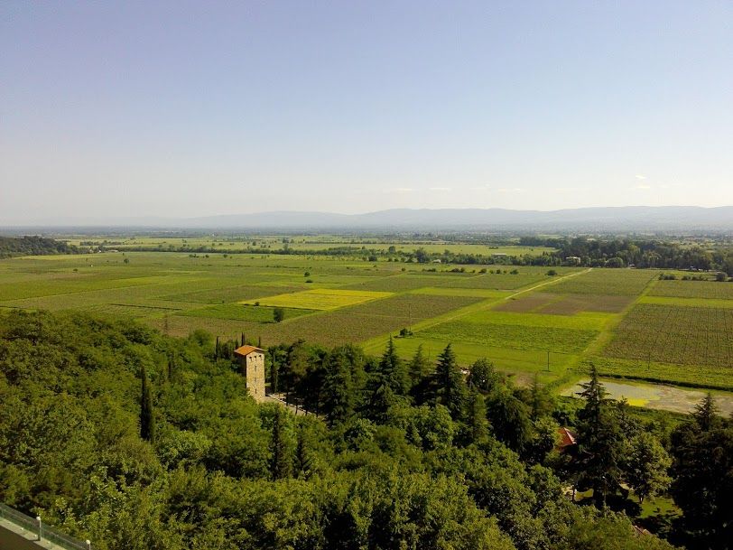 Кахети- однодневный тур из Тбилиси