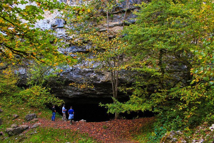 რაჭის ტური სულ  ! ! შაორი/ ნიკორწმინდა/ სიყვარულის ჩანჩქერი