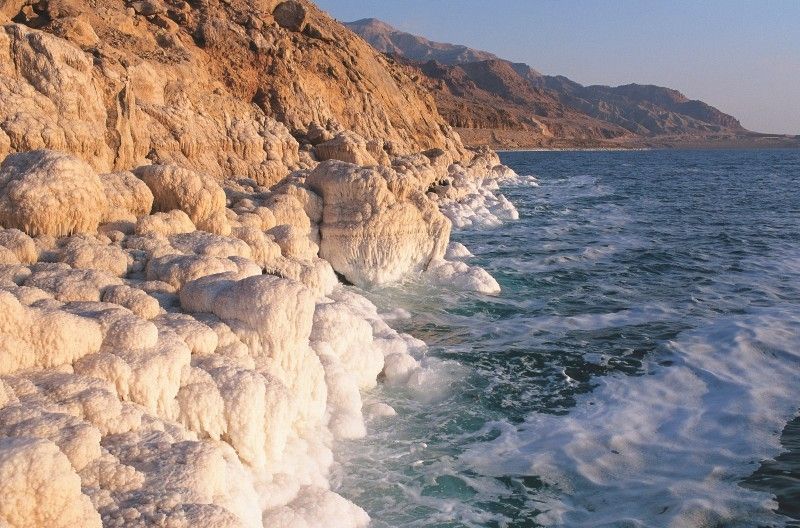 დაისვენეთ მკვდარი ზღვის სანაპიროზე აგვისტოდან დღე!!!