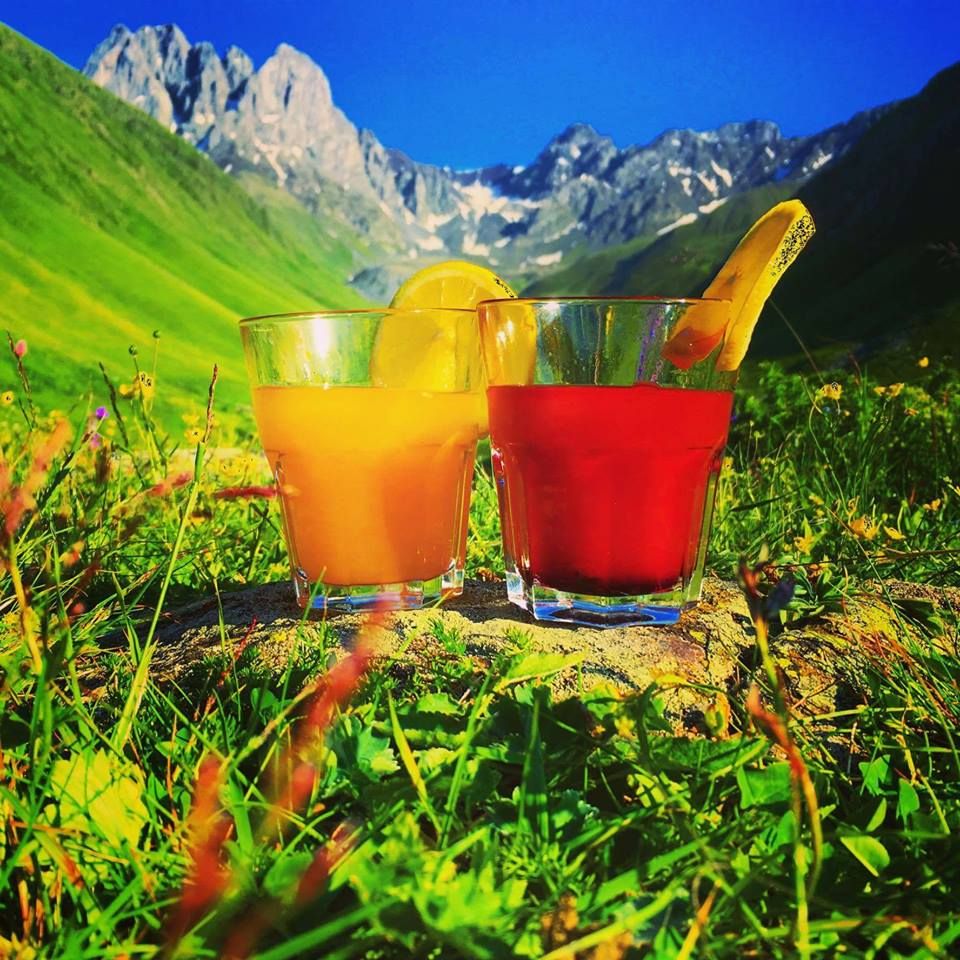 ჯუთა აგვისტო (კვებით)