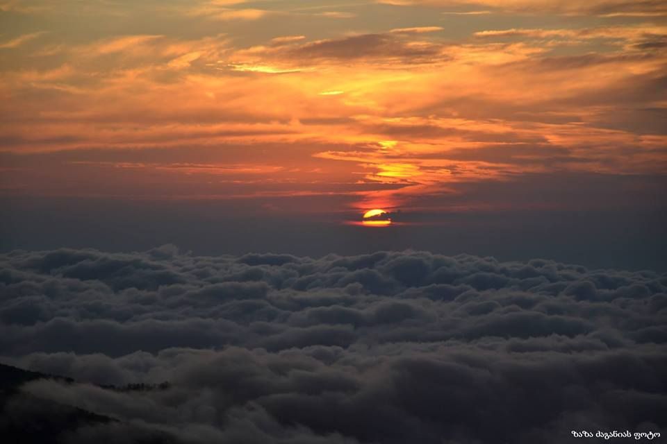 გომის მთა