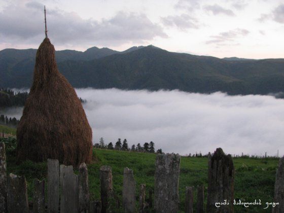 გომის მთა