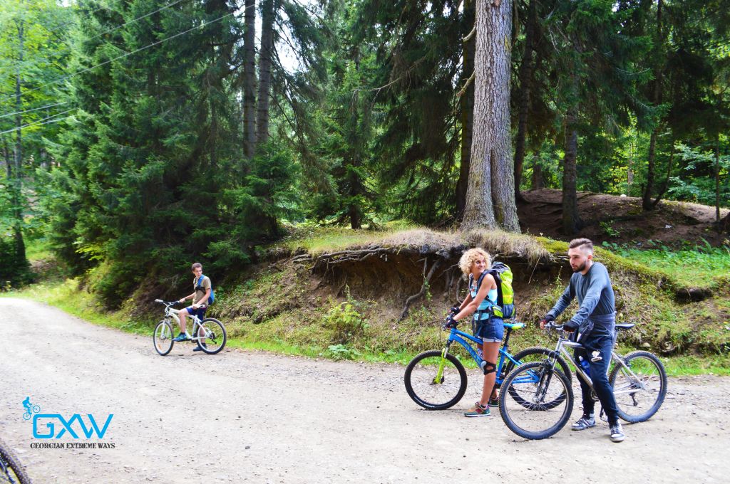 ველოტური მიტარბის ხეობაში