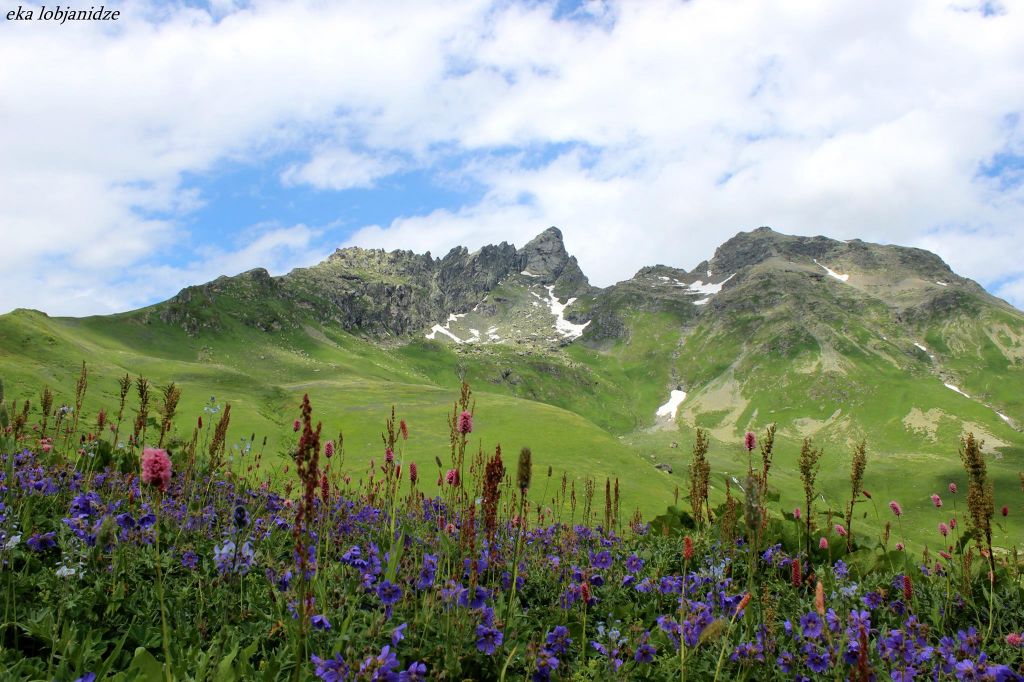 რაჭის დღიანი ტური