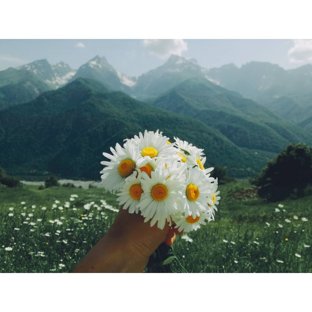 რაჭის დღიანი ტური