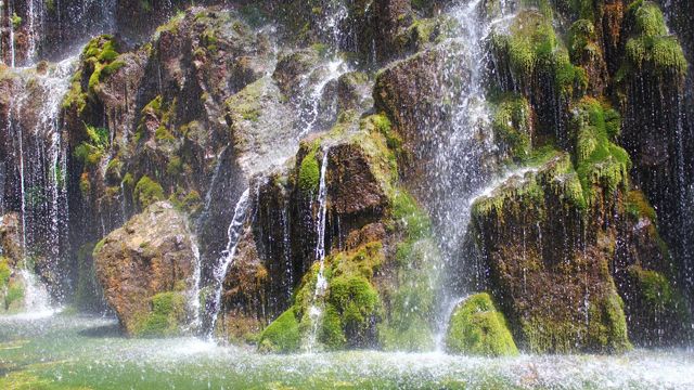 dashbashis kanioni larad