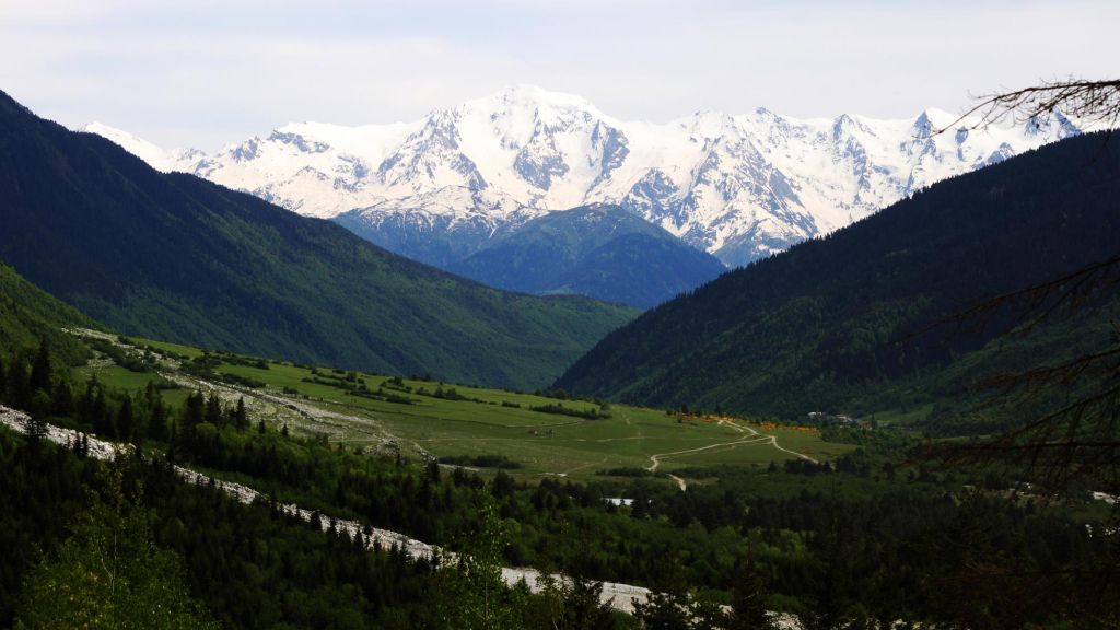 დღიანი ტური "მოინახულე საქართველო"