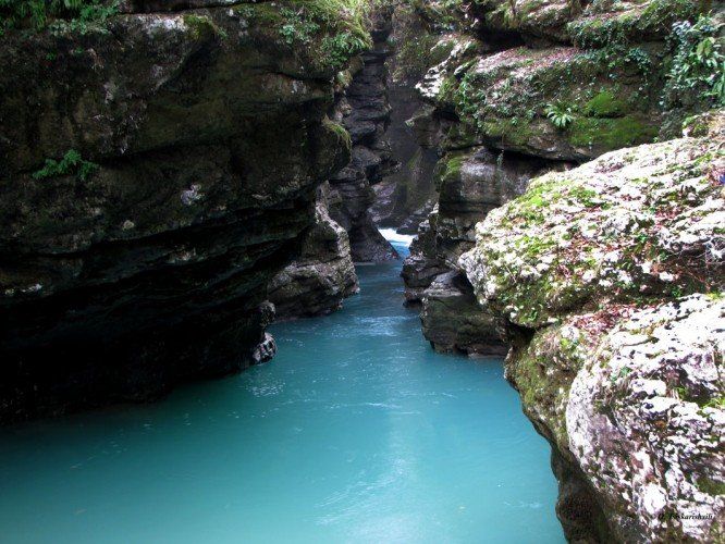 დღიანი ტური "მოინახულე საქართველო"