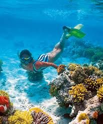 ნაადრევი ჯავშნები. შარმ ელ შეიხი