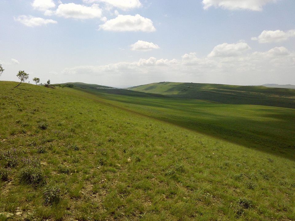 Обзорный тур по Кахетии