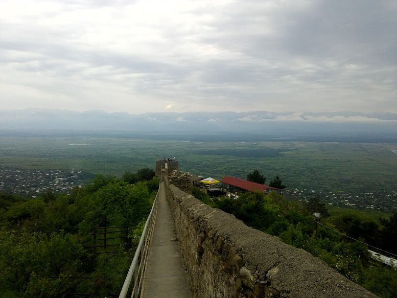 Sightseeing tour of Kakheti