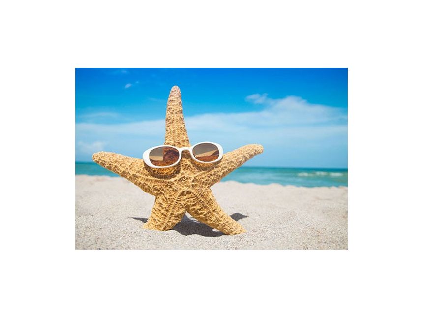 ეგვიპტე – შარმ ელ შეიხი