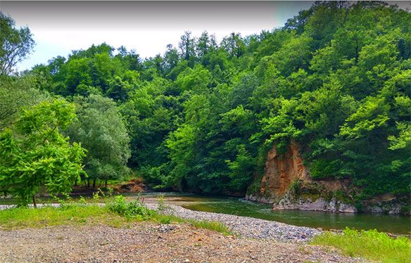 თბილისიდან აჭარაში და უკან-  დღე