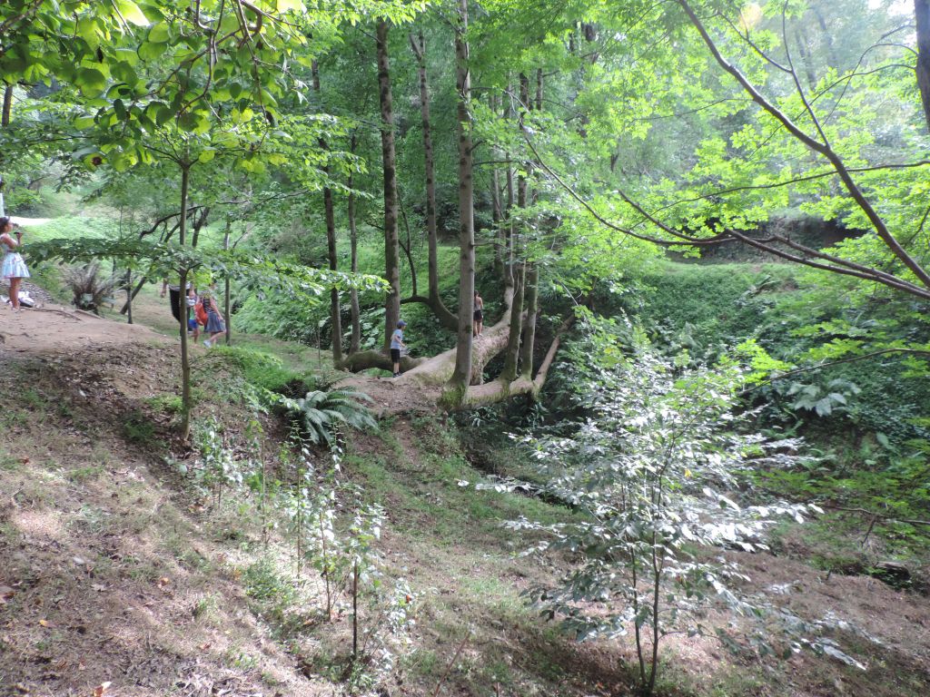 თბილისიდან აჭარაში და უკან- დღე