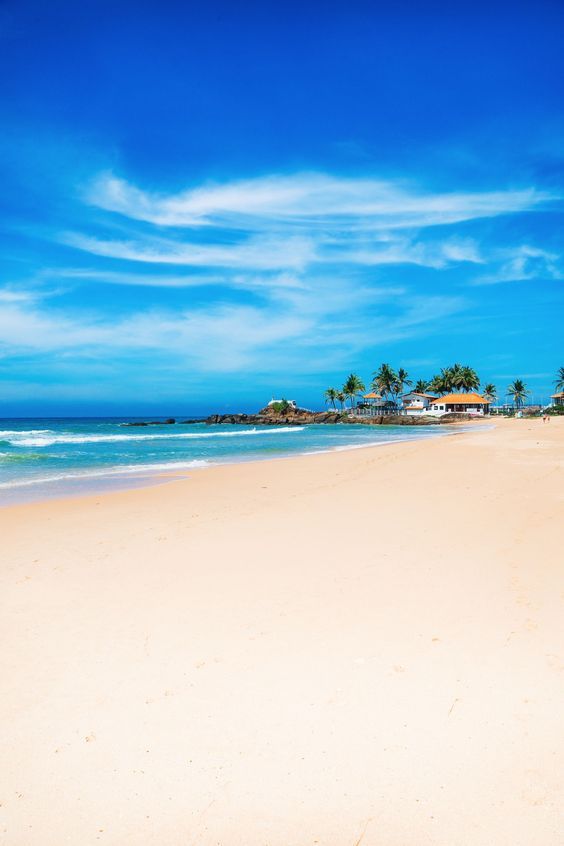 სამოთხე დედამიწზე < #წამო შრი-ლანკაზე