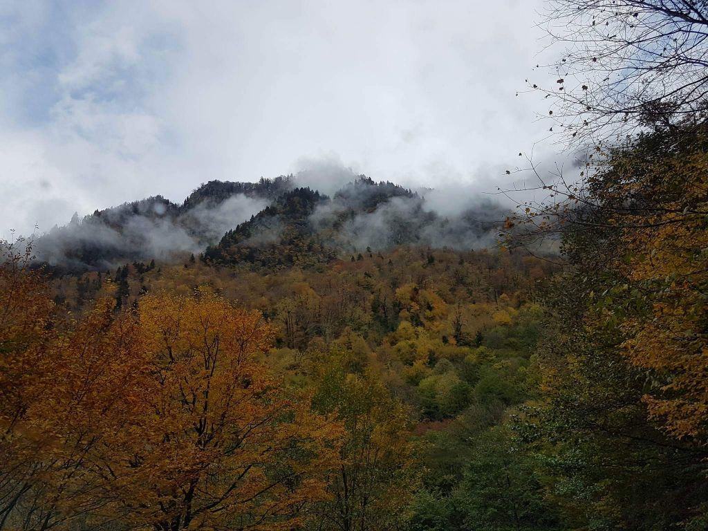 სვანეთი.....მესტია... უშგული.... ტურები საქართველოში....