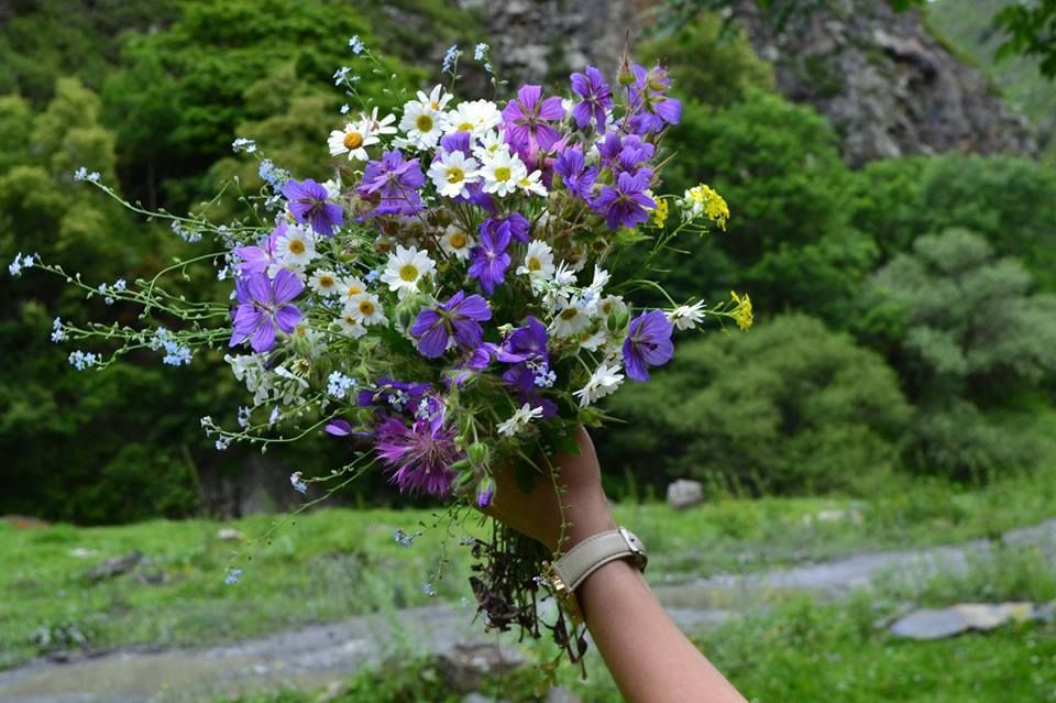 შატილი – მუცო! ! ხევსურეთის ზღაპარ–ტური< სულ ადგილი ! დარეკეთ ახლა !